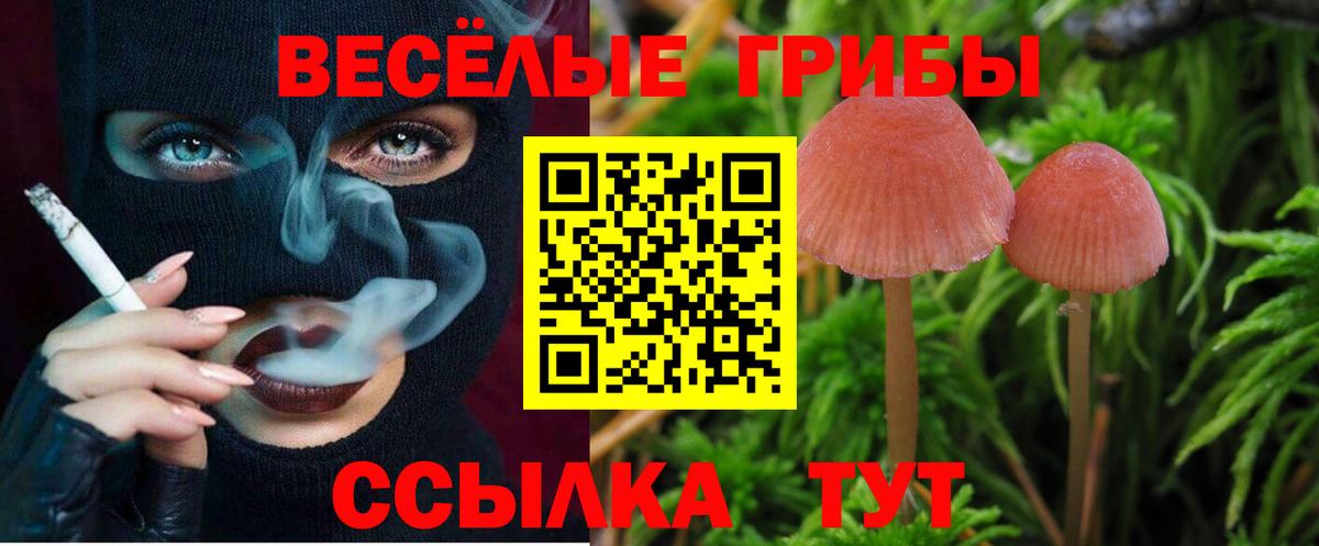 Минусинск  Псилоцибиновые грибы MAGIC MUSHROOMS  Галлюциногенные грибы мухоморы  Вход с VPN 